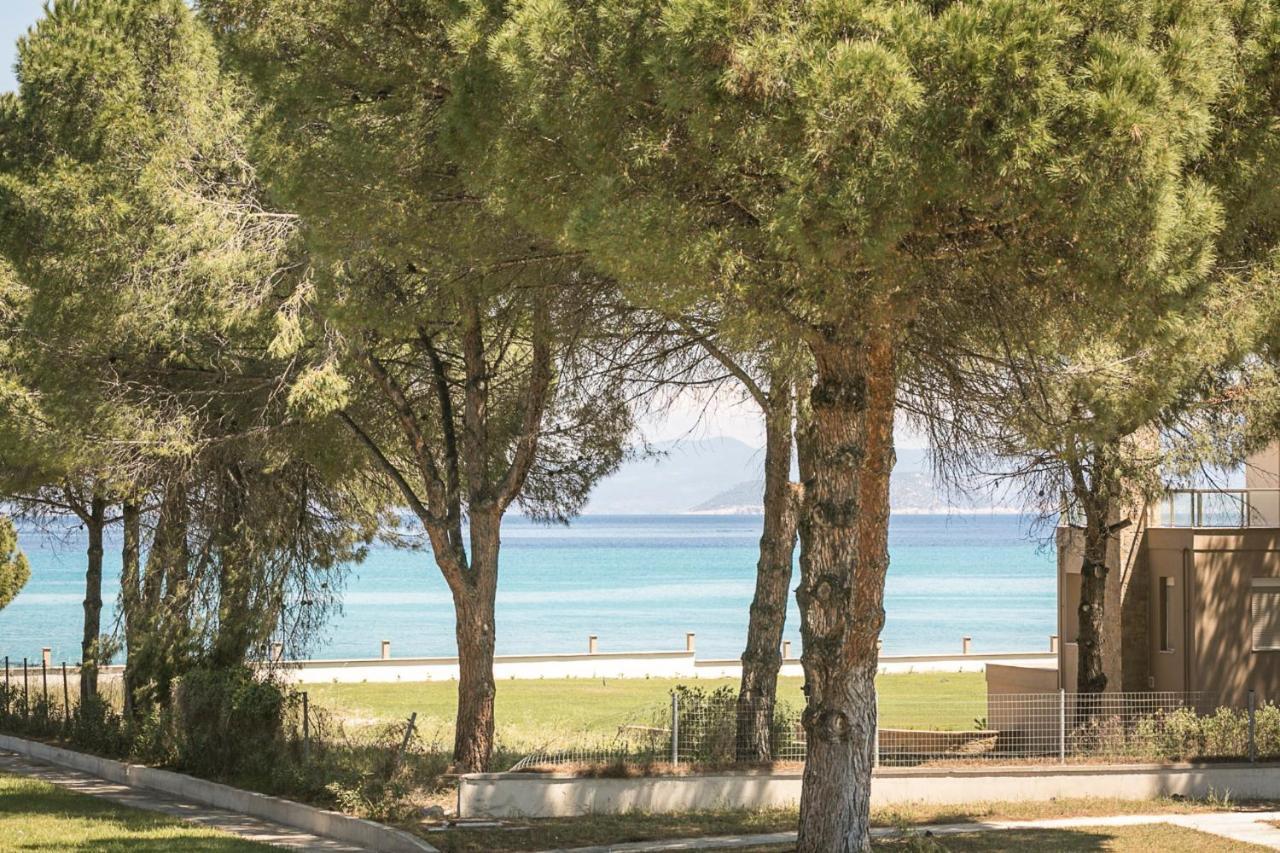 #Flh - Amalthia & Αthena Beachfront Houses In Pefkohori المظهر الخارجي الصورة
